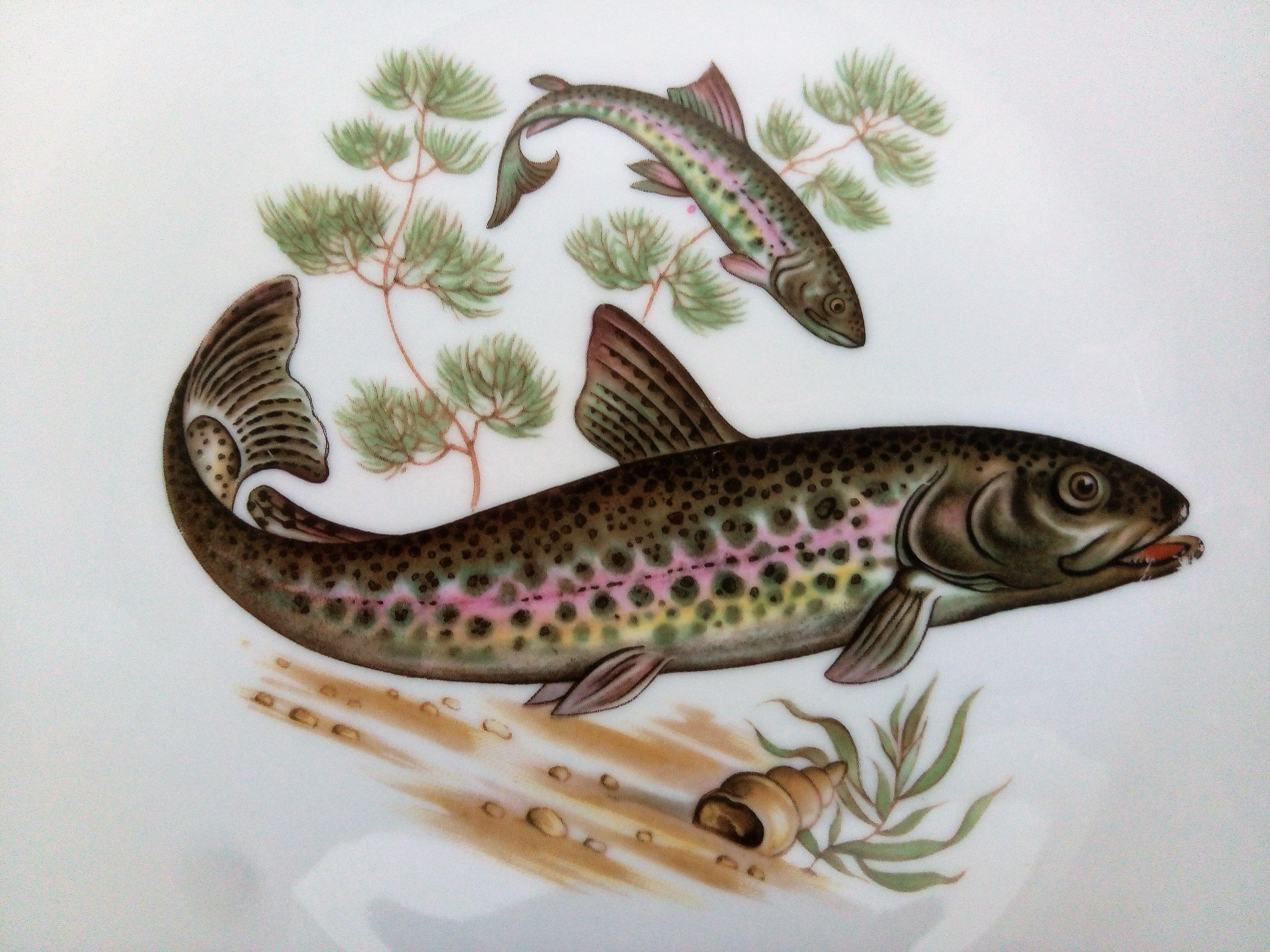 12 assiettes poisson marque PMR Bavaria Jaeger & Co.