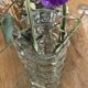 Multi-faceted moulded glass vase.