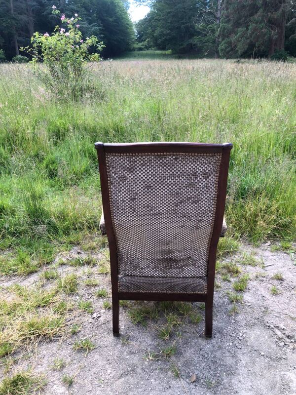 Fauteuil voltaire en bois en bois d’acajou