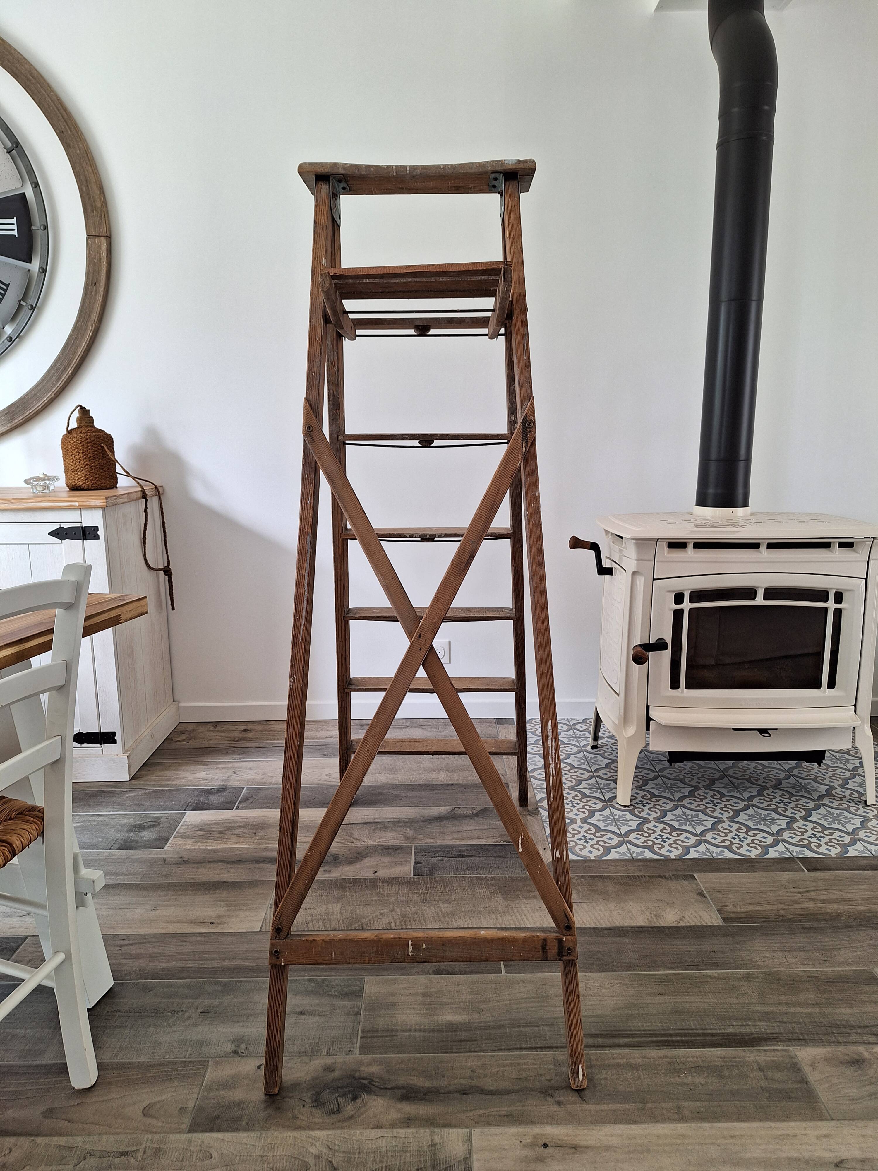 Montana painter's stepladder