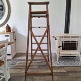 Montana painter's stepladder