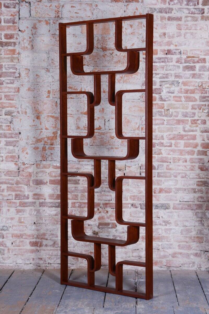 Midcentury Modern Divider by Ludvik Volak, 1960s