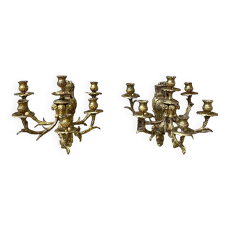Pair of sconces in gilded bronze late nineteenth