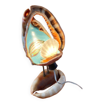 Shell lamp