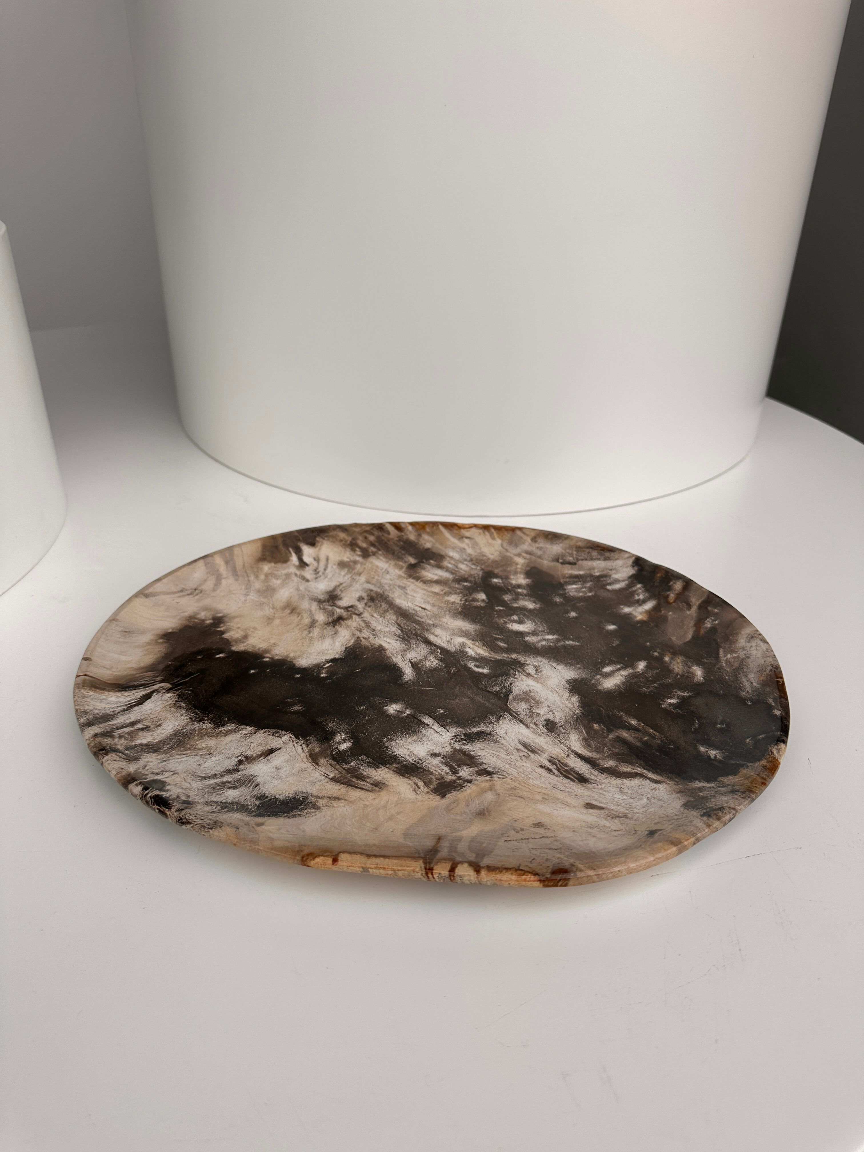 Very large empty pocket or petrified wooden flat