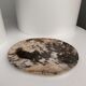 Very large empty pocket or petrified wooden flat