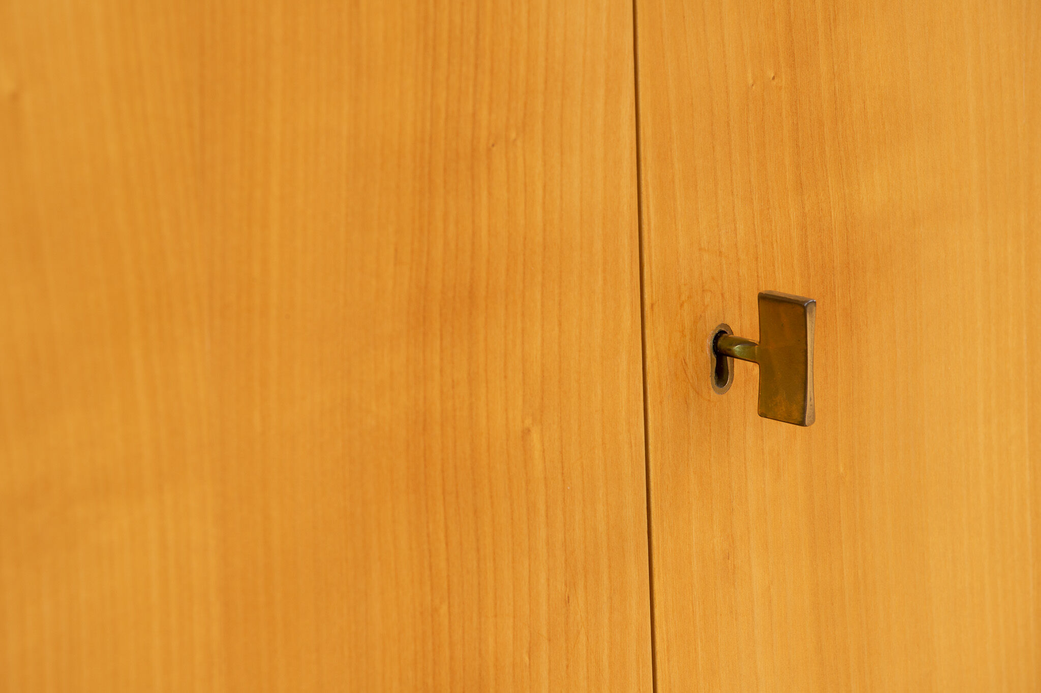 Vintage scandinavian wardrobe
