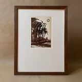 Palm - Illustration