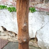 Brutalist tree trunk and oak saddle