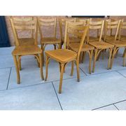 Suite de 12 chaises de Bistrot N 19 Baumann 1960