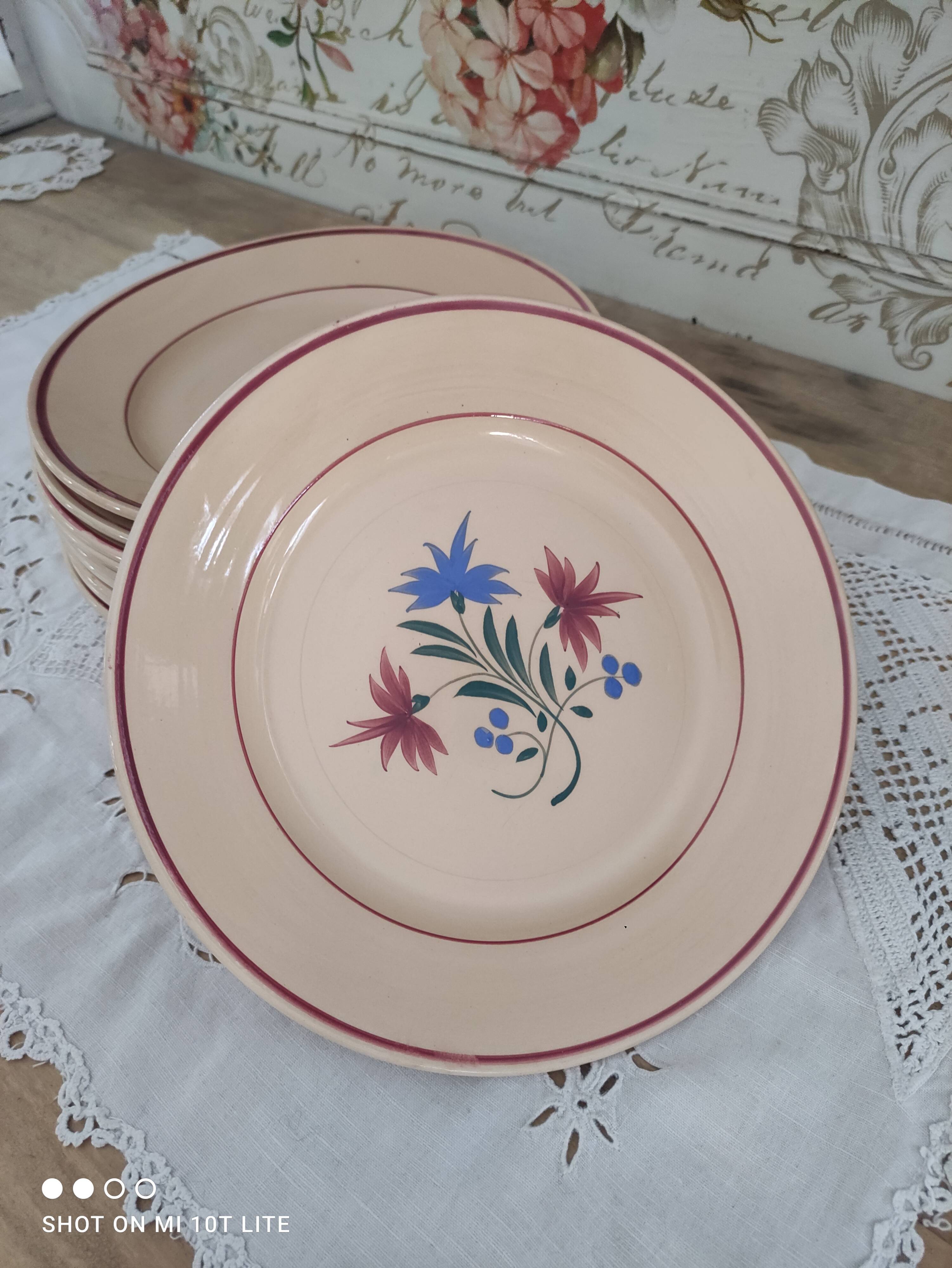 Set of 12 flat plates 30s earthenware K&G Lunéville model Denise