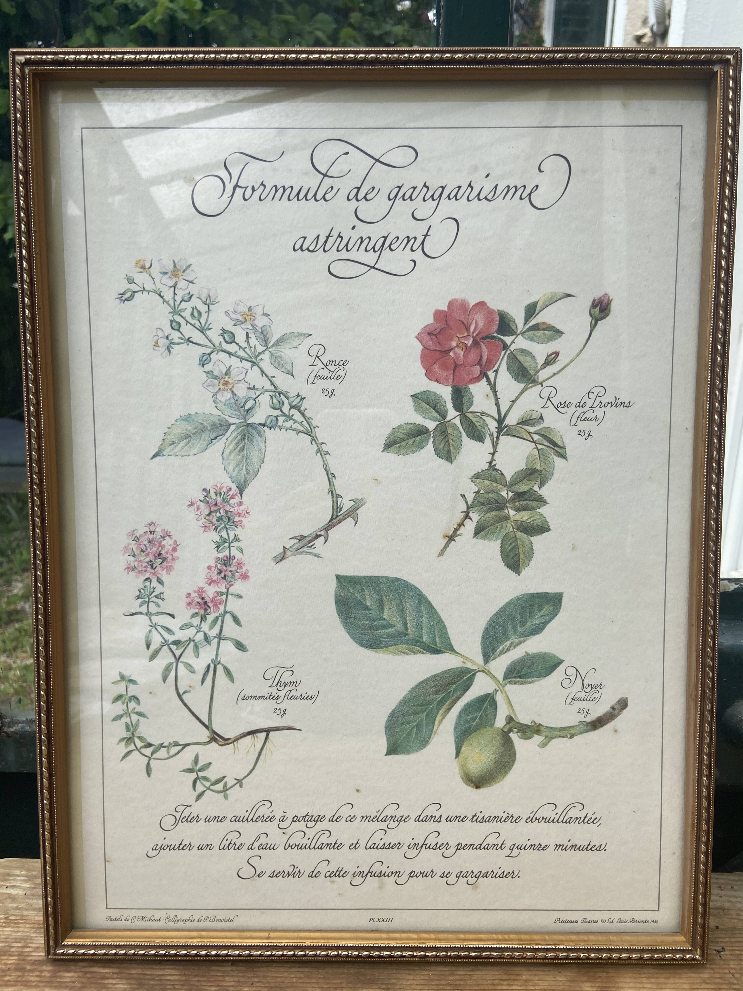 Botanical plank "Astringent gargle formula"