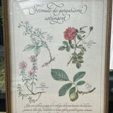 Botanical plank "Astringent gargle formula"