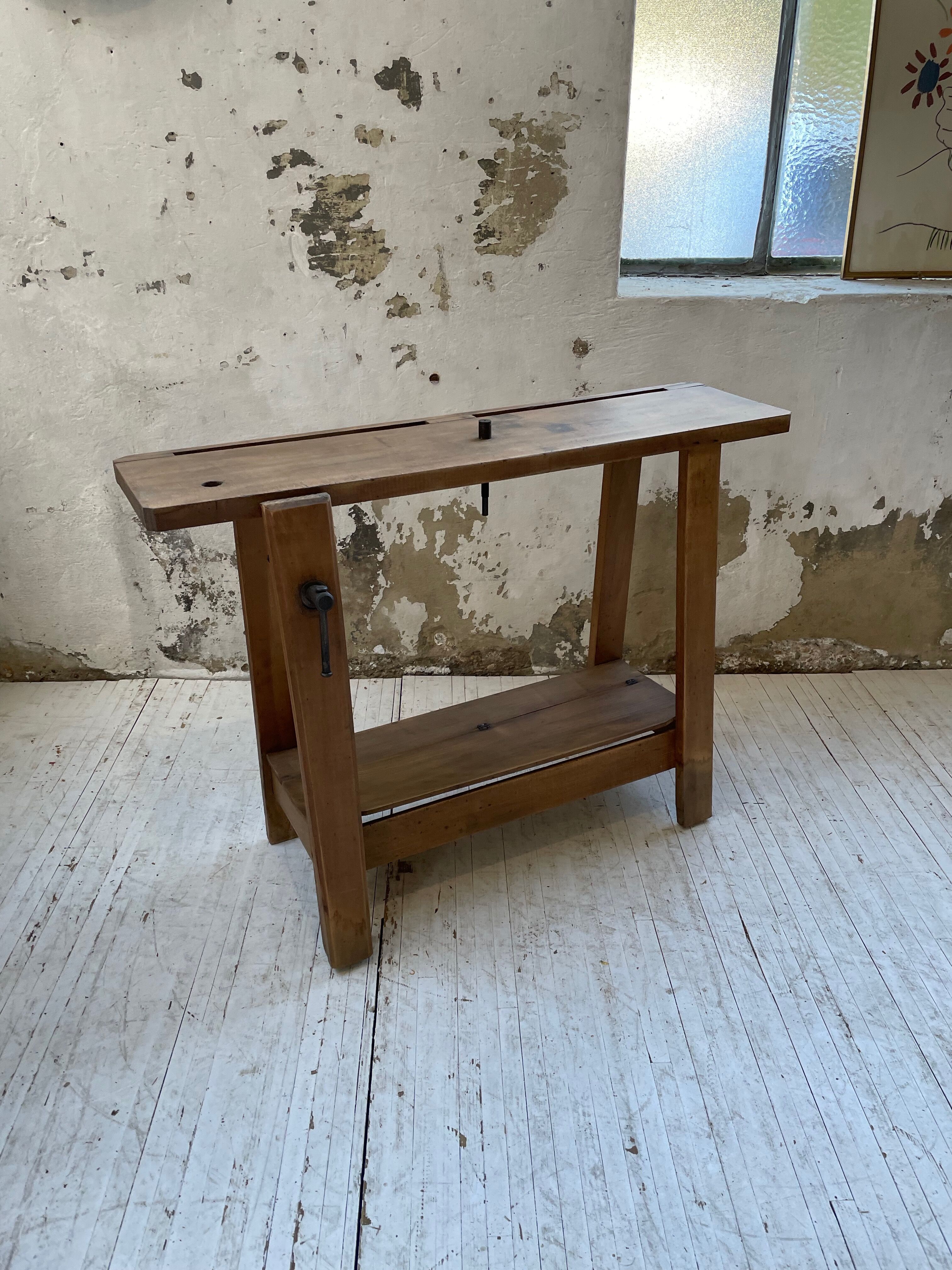 Established XS in cherry tree