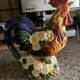 Beautiful rooster pitcher