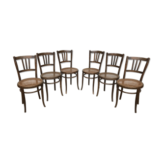 Set of 6 bentwood bistro luterma chairs