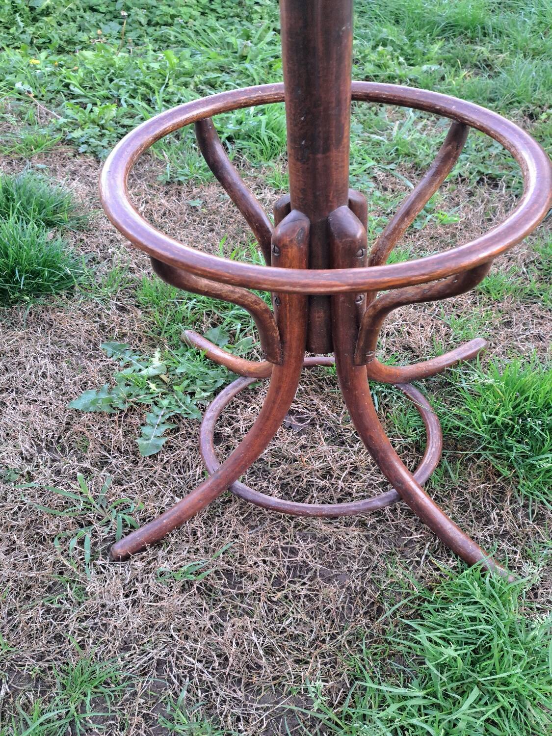 Parrot coat Baumann.