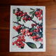 Ancienne affiche sur les cerises