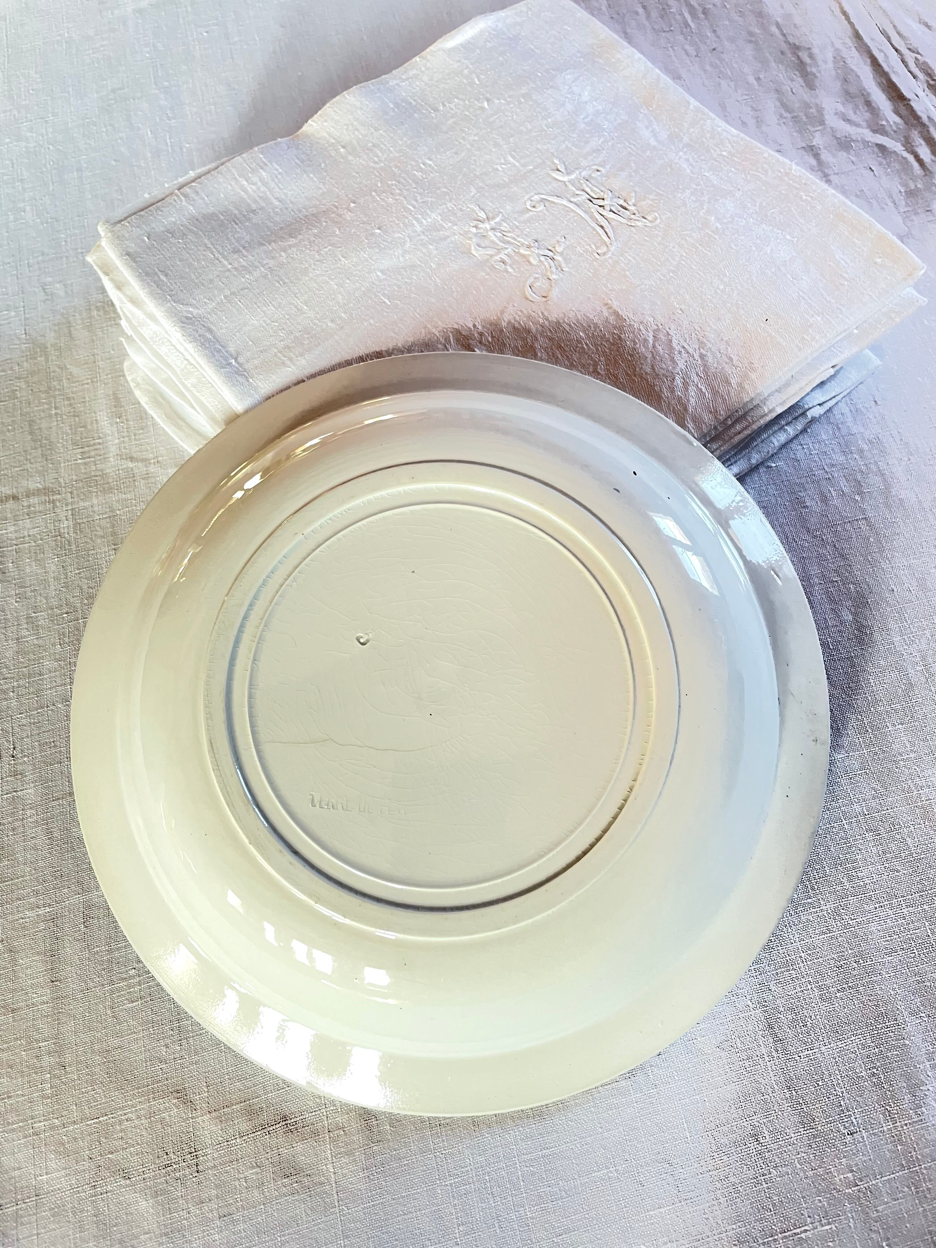 Flat Iron Holly Christmas