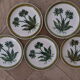 Set of 11 plates