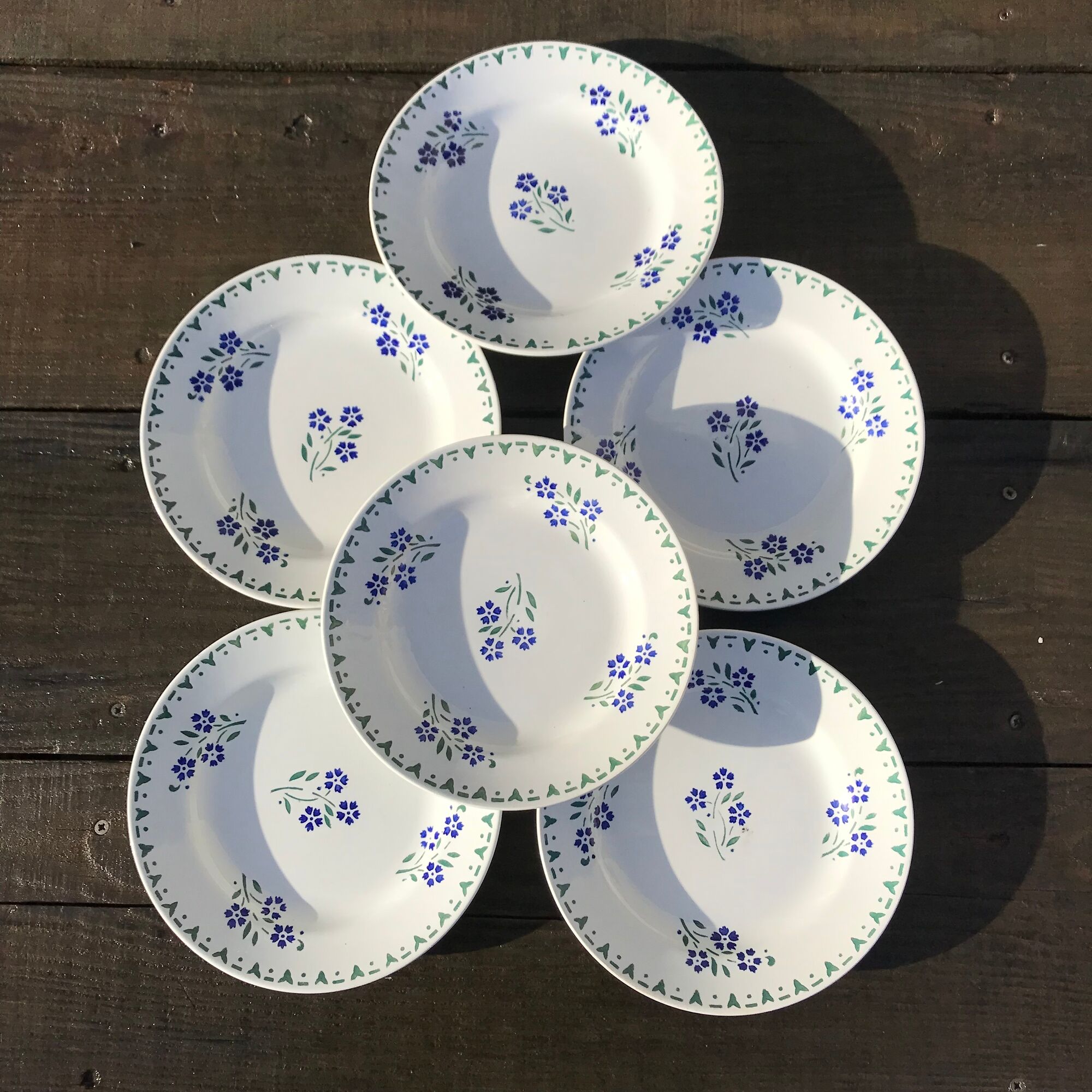 6 assiettes plates bleuets porcelaine opaque de gien