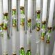 Antique Art Deco lampshade in yellow marbled glass with bead fringes.