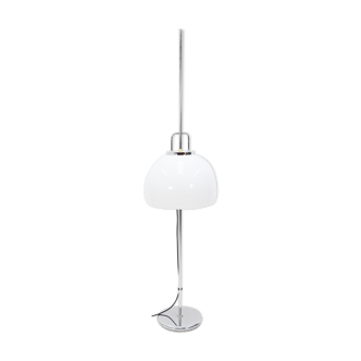 Harvey Guzzini Adjustable Floor Lamp