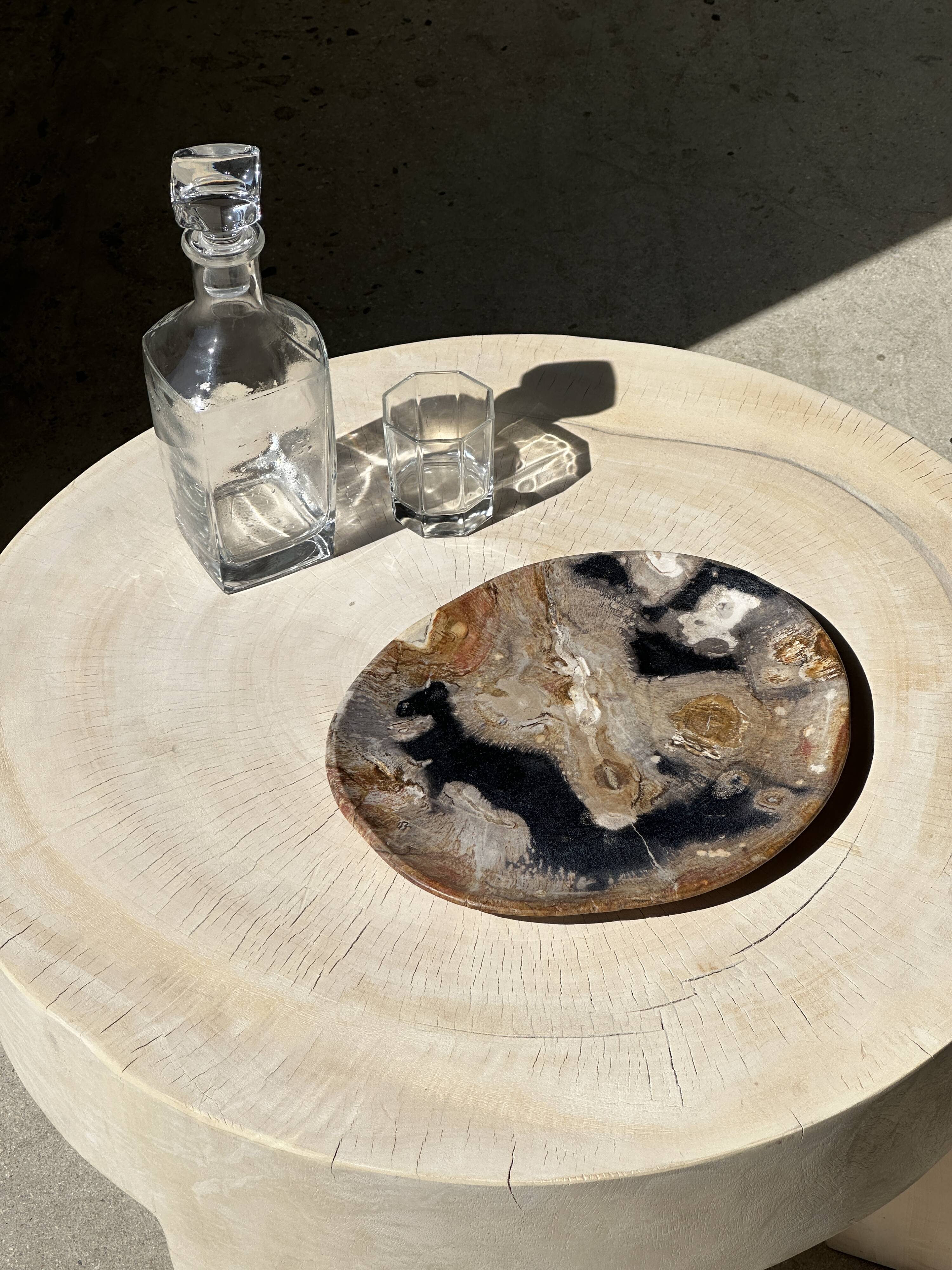 Large empty pocket or dish in petrified wood