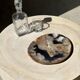 Large empty pocket or dish in petrified wood