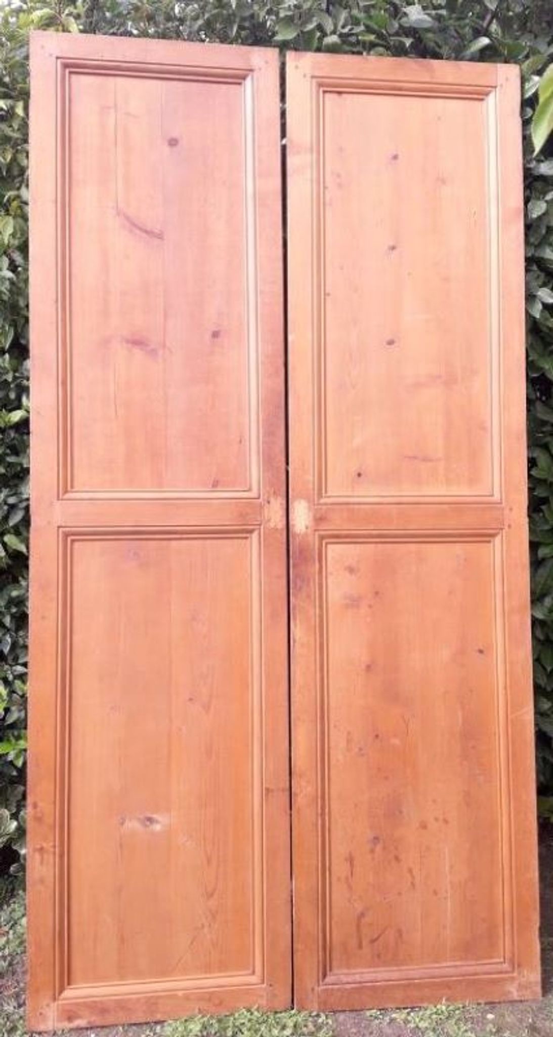 Paire de portes 248x129cm anciennes