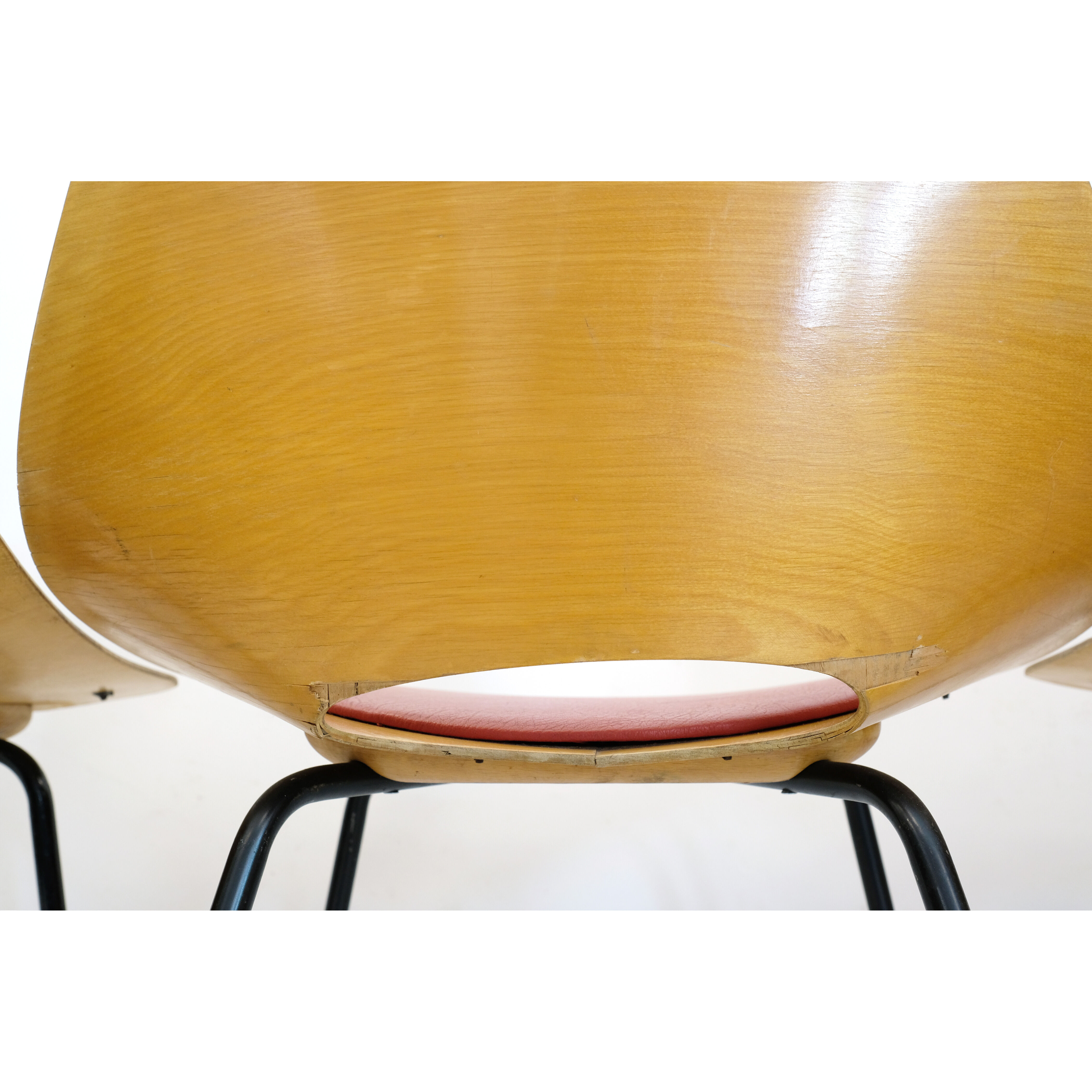 Pierre Guariche set of 6 Tonneau chairs, Steiner, 1960.