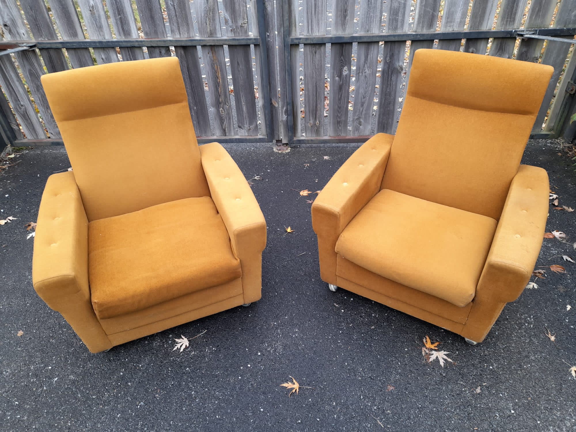 Pair of armchairs from the 70s in ochre velvet