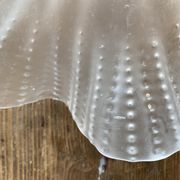 Suspension lamp opaline flower