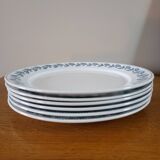 6 flat plates Sarreguemines Oak model
