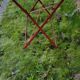 Red garden iron table
