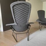 Knoll Bird type armchair (Bertoia)