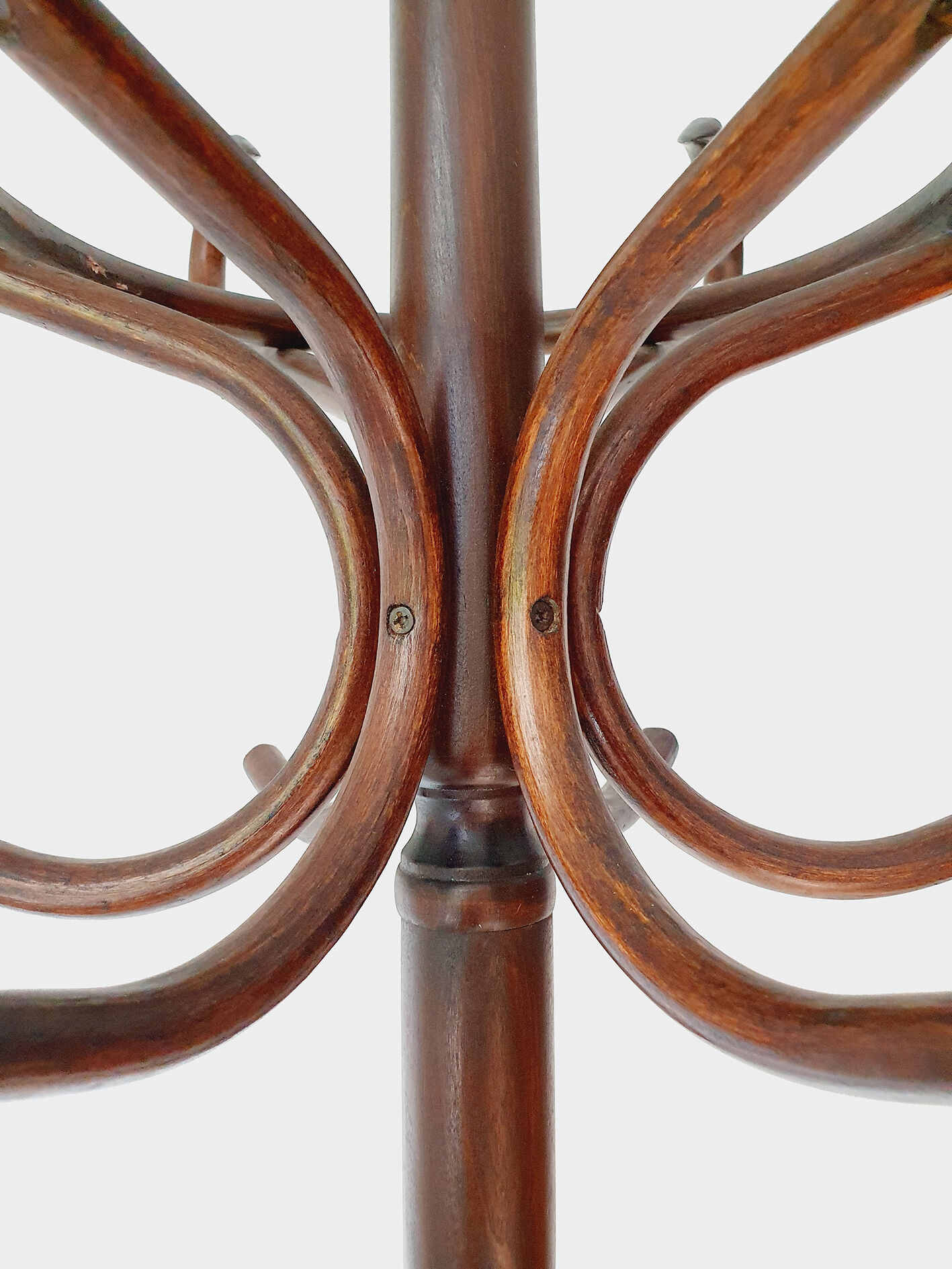 Parrot coat rack in curved wood