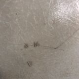 DSX chair by Charles and Ray Eames