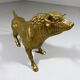 Brass Bull
