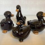Four little black and golden ducks.