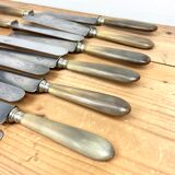 Service Of 12 Table Knives - Blonde Horn Handle