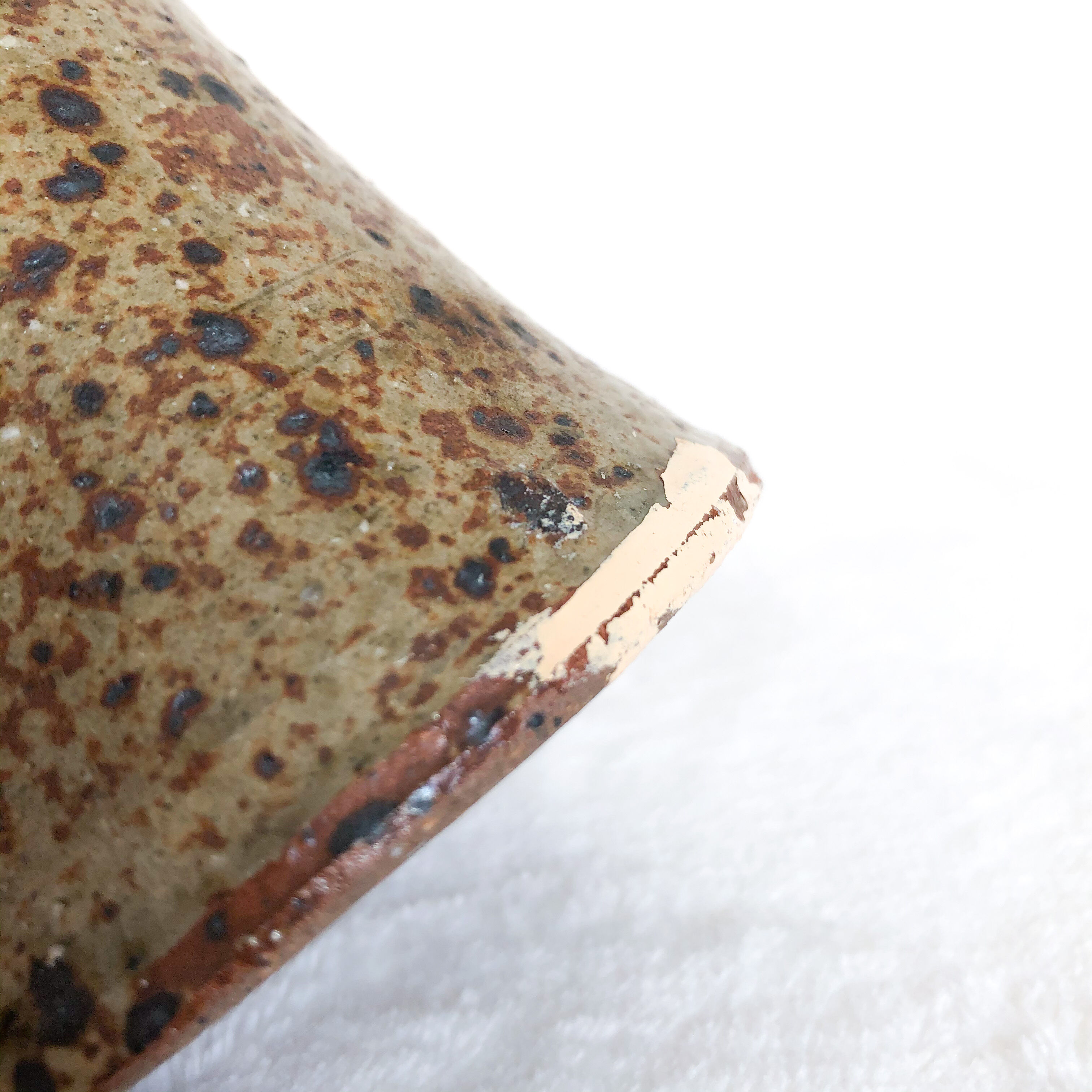 Soliflore in sandstone