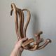 Set of curved wooden coat hooks in Thonet style.