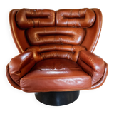 Elda armchair by Joe Colombo, black shell, brown leather
