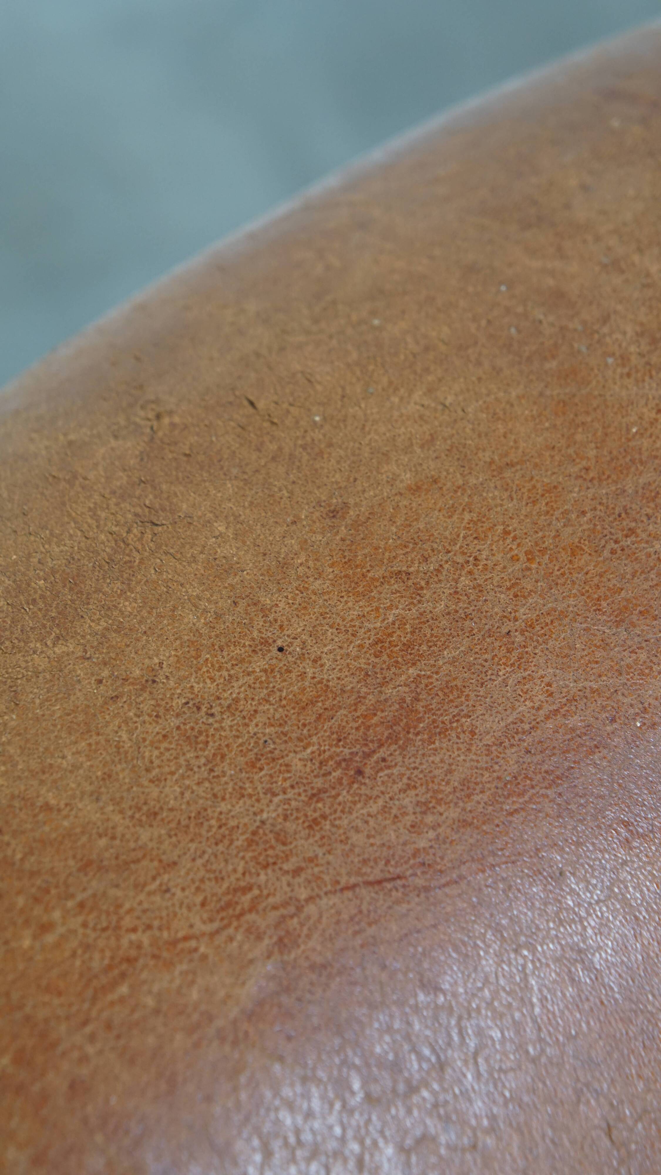 Cognac-Colored Sheepskin Leather Club Chair