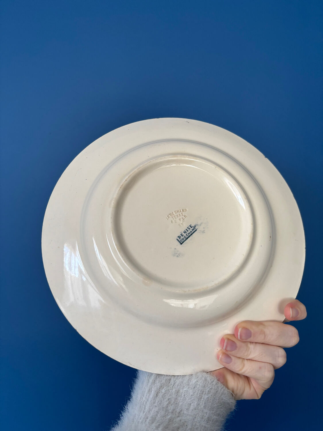Set of 6 semi-deep plates in ironstone Longchamp model Denise.