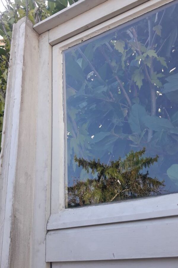 Verrière bois 3 fenêtres à soufflet et abbatant