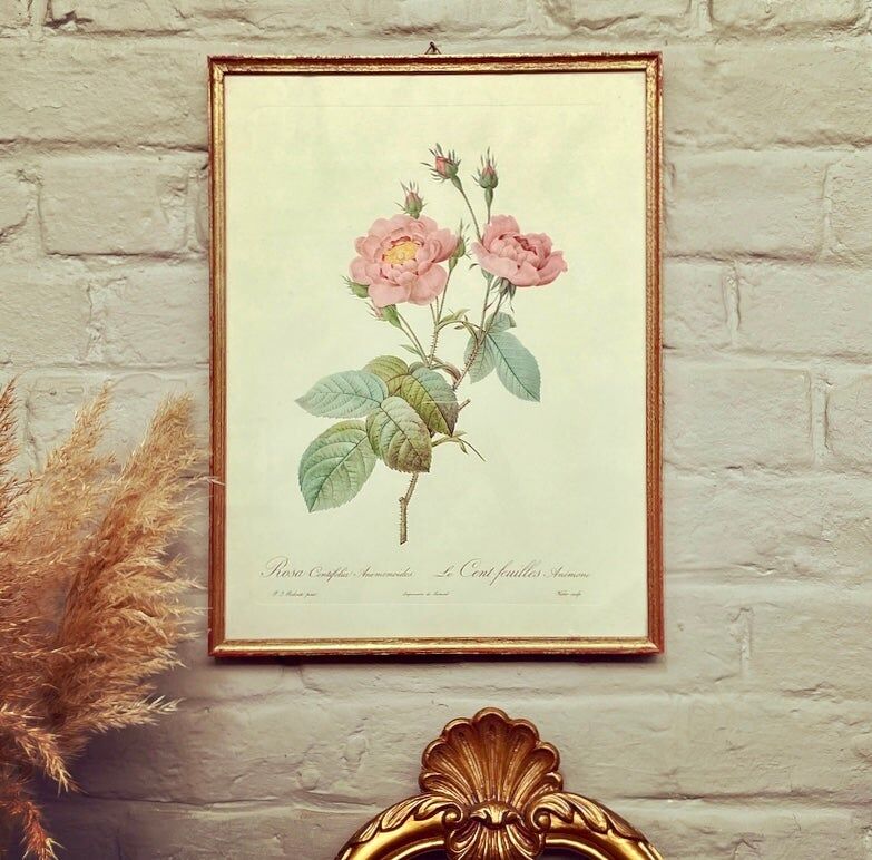 Dreaded PJ Frame - The Hundred Leaves Anemone