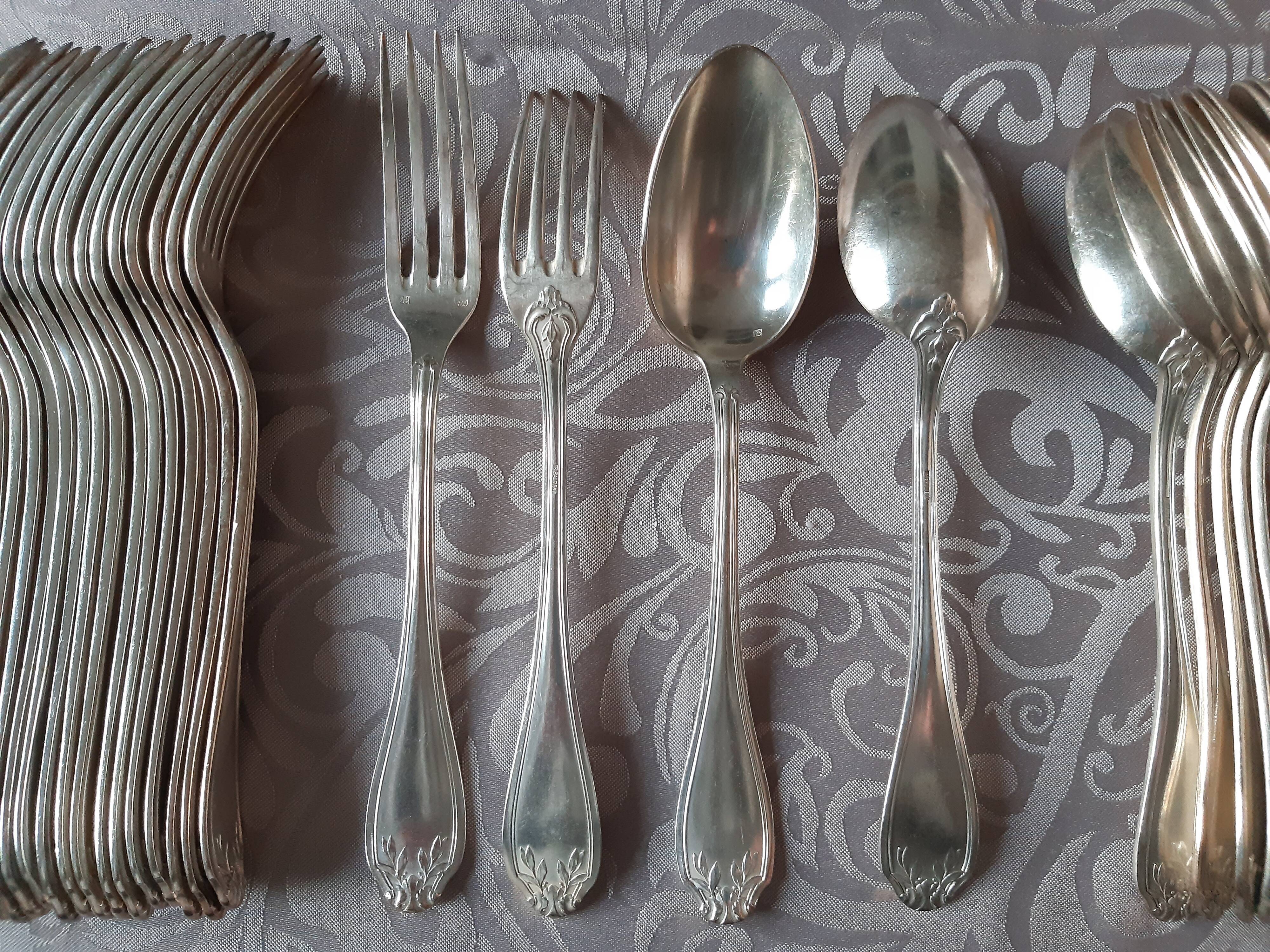 Art nouveau housewife, 48 pieces, 24 guests, foliage model, silver metal