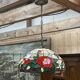 Tiffany style pendant light